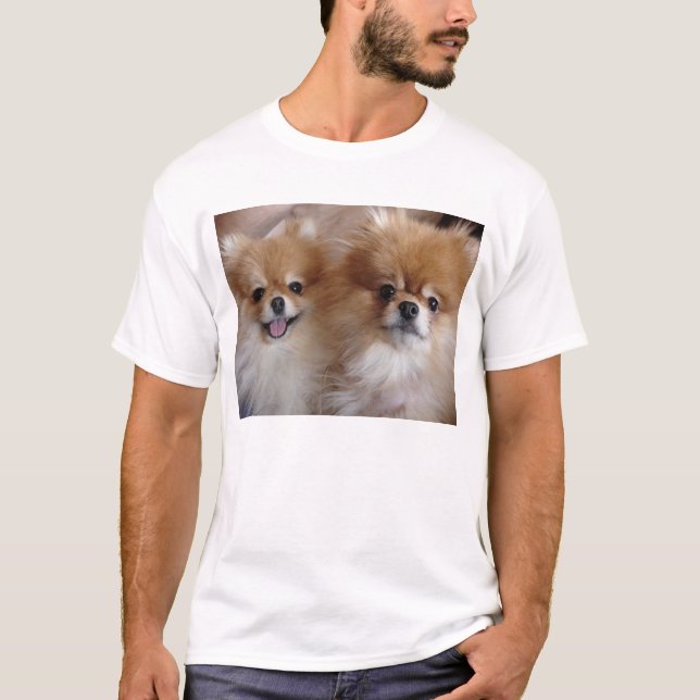T-shirt Amis de Pomeranian (Devant)