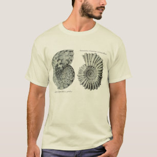 T-shirt Ammonites