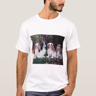 T-shirt amour cavalier
