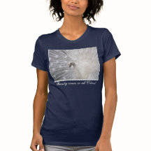 Amusement supérieur de Skully