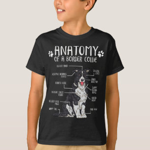 T-shirt Anatomie amusante Bordure Collie Amoureux des chie