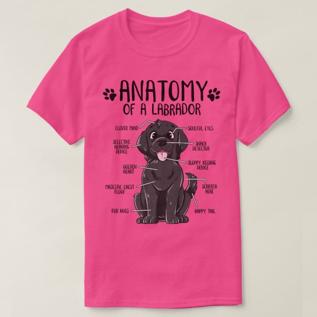 T-shirt Anatomie amusante Labrador Retriever Black Lab Chi (Design devant)