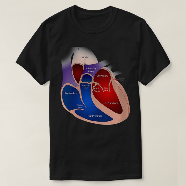 T-shirt Anatomie cardiaque des femmes VNeck (Design devant)