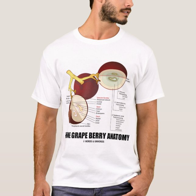 T-shirt Anatomie de baie de raisin de cuve (fruit) (Devant)