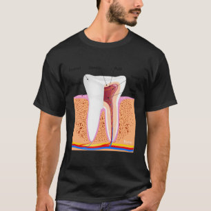 T-shirt Anatomie Dentaire Pour Dentin Dentin Enamel Ging