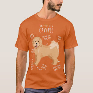 T-shirt Anatomie du chien Cavapoo 6