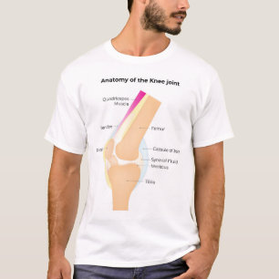 T-shirt Anatomie du genou