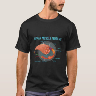 T-shirt Anatomie Du Muscle Humain Pour La Médecine