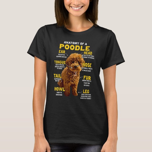 T-shirt Anatomie d'un chien caniche toy (Devant)