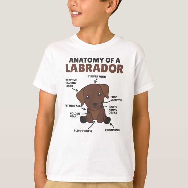 T-shirt Anatomie D'Un Chien Doux Du Labrador Retriever (Devant)
