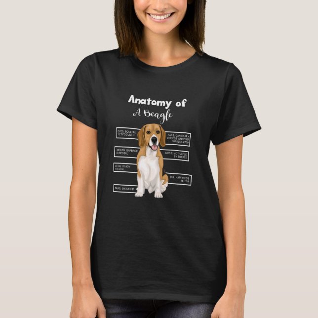 T-shirt Anatomie D'Un Chien Drôle Beagle (Devant)