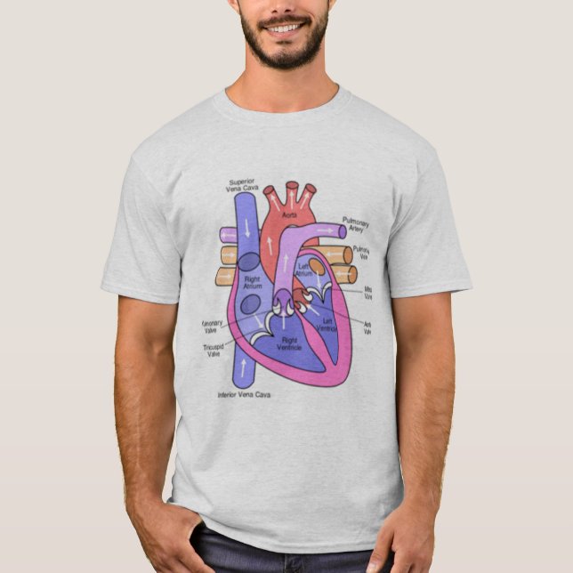 T-shirt Anatomie d'un coeur isolé (Devant)