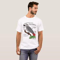 Anatomie d'un perroquet de gris africain
