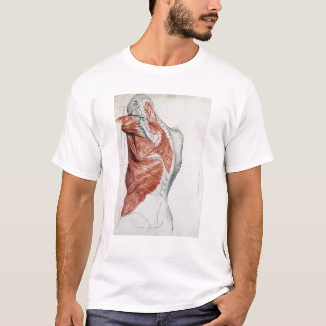 T-shirt Anatomie humaine ; Muscles du torse et de l'épaule (Devant)