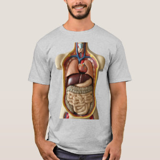 T-shirt Anatomie organes internes Transparent personne T-s