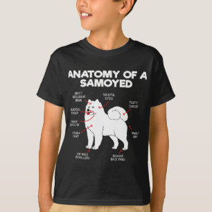 T-shirt Anatomie Samoyed Chien Chien Amoureux des chiens C
