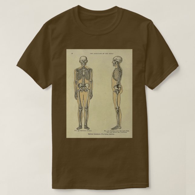 T-shirt Anatomie vintage (Design devant)