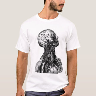 T-shirt anatomique historique de dessin de torse