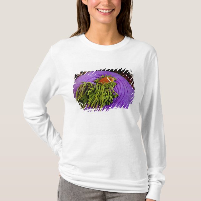 T-shirt Anemonefish et grande anémone (Devant)
