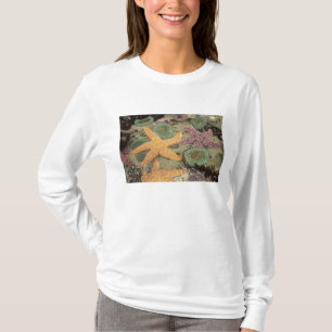 T-shirt Anémones géantes vertes et étoiles de mer ocres