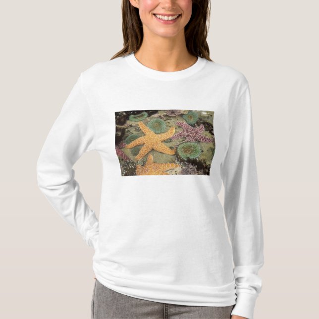 T-shirt Anémones géantes vertes et étoiles de mer ocres (Devant)