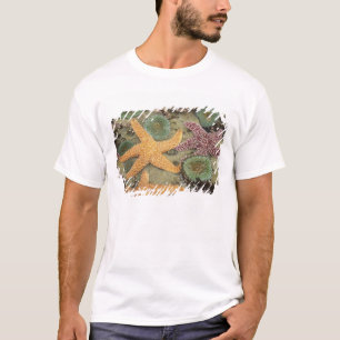 T-shirt Anémones géantes vertes et étoiles de mer ocres