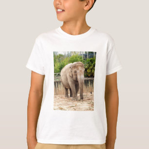 T-shirt Animal éléphant