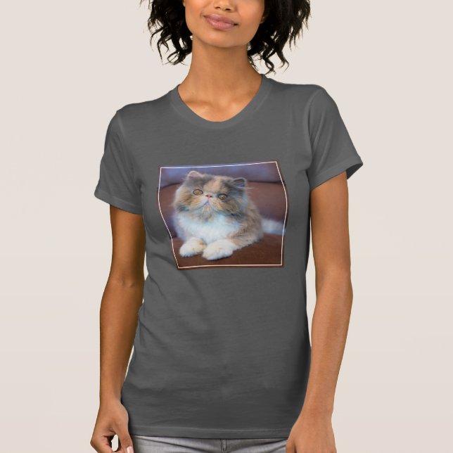 T-shirt Animaux de bébés cutest | Calico Persian Kitten (Devant)
