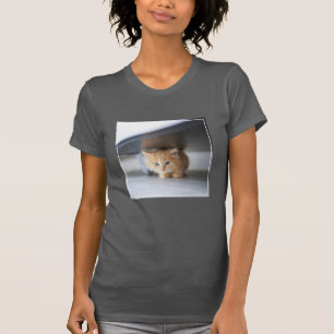 T-shirt Animaux de bébés cutest   Fluffy Orange Kitten