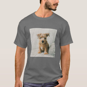 T-shirt Animaux de bébés cutest Norfolk Terrier Puppy