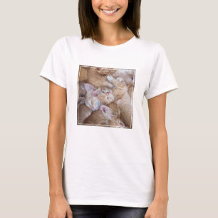 T-shirt Animaux de bébés cutest Orange Kitten Pile