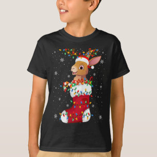 T-shirt Animaux de lièvre de Santa Hat en Chaussettes Lumi