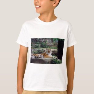 T-shirt Année du tigre