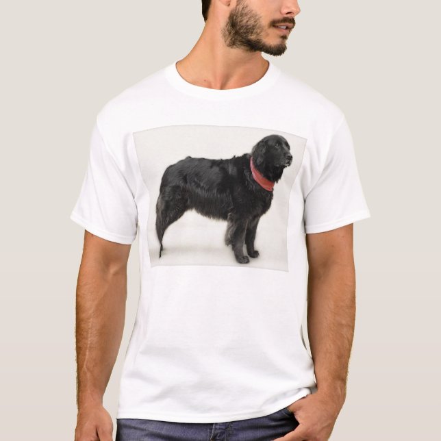 T-shirt Annie (Devant)