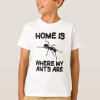 Ant Farm Ants Garder Les Insectes Délivrer Des Dev