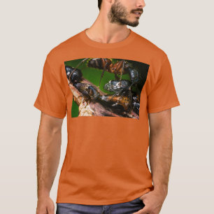 T-shirt Ant Farming Treehoppers