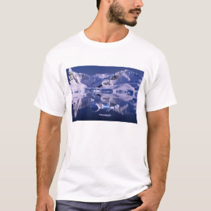 T-shirt Antarctique, baie du Paradis