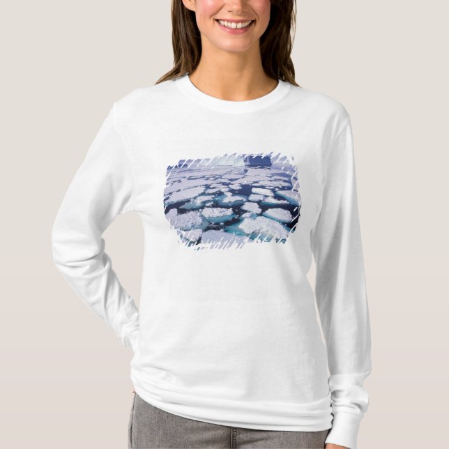 T-shirt Antarctique, Écoulement de glace. (Devant)
