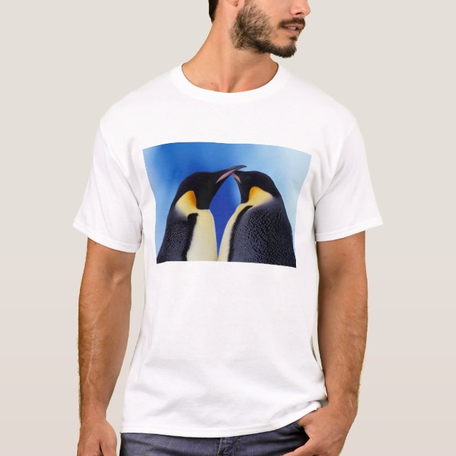 T-shirt Antarctique, Empereur Penguins (Devant)