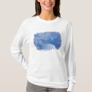 T-shirt Antarctique, île Ross, Cap Evans, grotte de neige