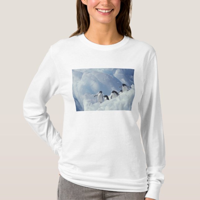T-shirt Antarctique. Manchots Adélie (Devant)
