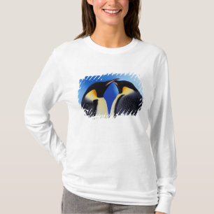 T-shirt Antarctique, Manchots empereurs