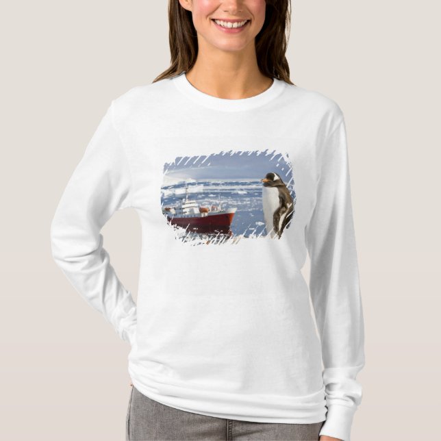 T-shirt Antarctique, Neko Cove (Port). Pingouin Gentoo (Devant)