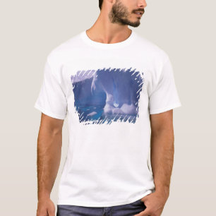 T-shirt Antarctique. Paysages de glace antarctique 3