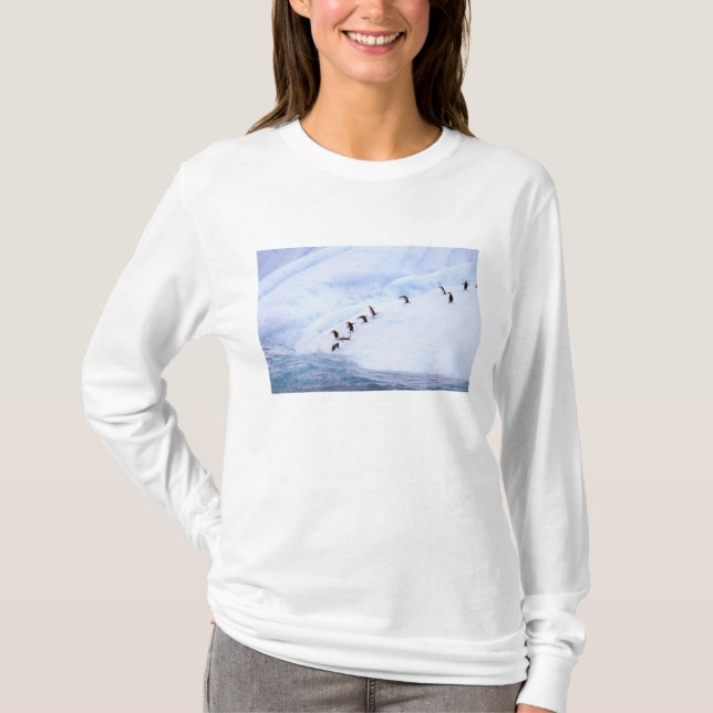 T-shirt Antarctique, péninsule Antarctique. Gorfous (Devant)