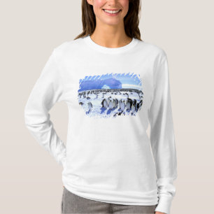 T-shirt Antarctique, péninsule Antarctique, mer de Weddell