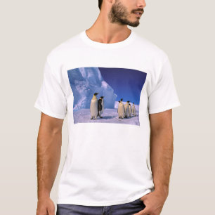 T-shirt Antarctique, territoire australien antarctique, 7
