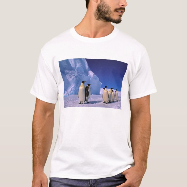 T-shirt Antarctique, territoire australien antarctique, 7 (Devant)