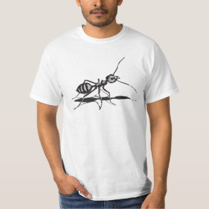 T-shirt Ante D'Insectes Noires Et Grises