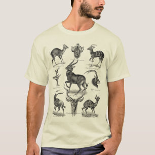 T-shirt Antilopes
